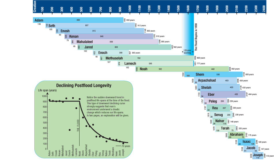 faq-genealogy_chart.jpg Image Thumbnail