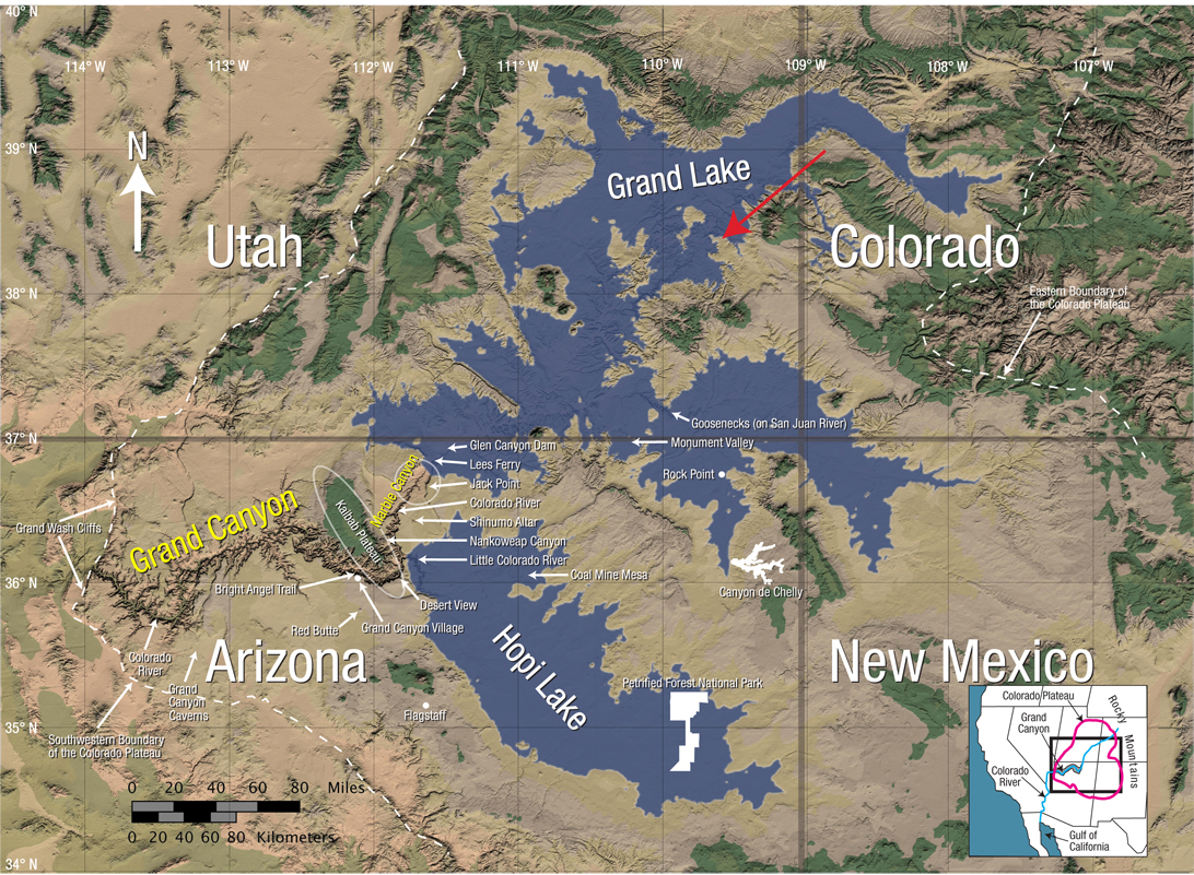 In the Beginning: Compelling Evidence for Creation and the Flood