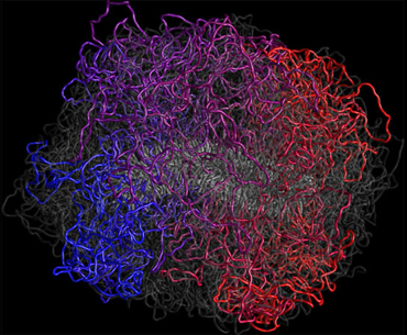 lifesciences-dna-folding.jpg Image Thumbnail