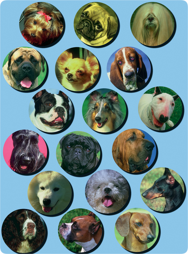 lifesciences-dogs.jpg Image Thumbnail