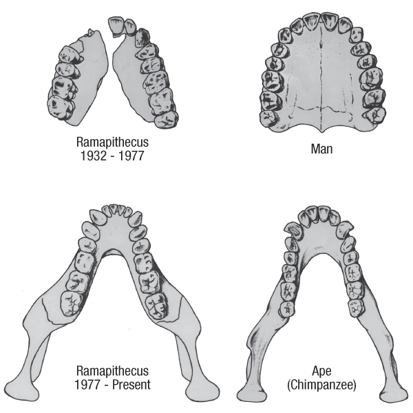 lifesciences-ramapithecus.jpg Image Thumbnail