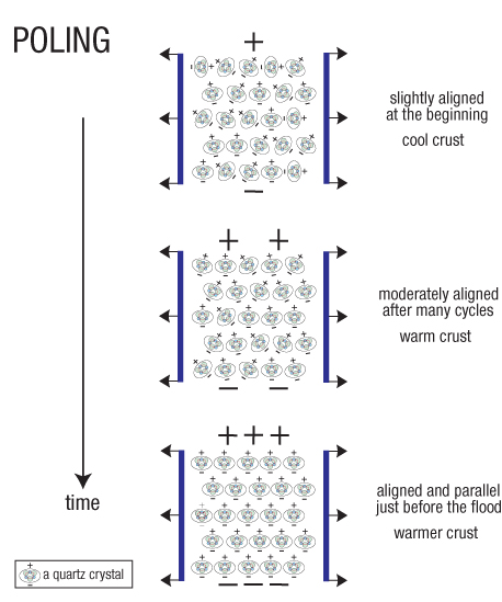 radioactivity-poling_alignment_of_charges.jpg Image Thumbnail