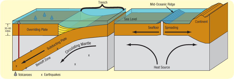 trenches-plate_tectonic_explanation_for_trenches.jpg Image Thumbnail